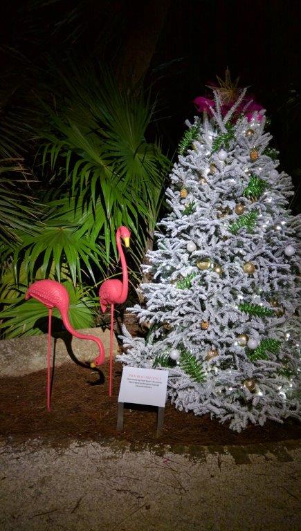Evergreen flamingo tree