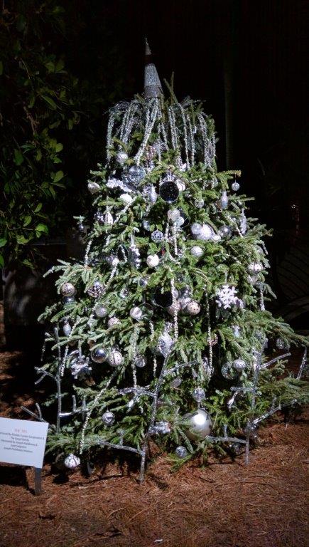 Sugary crystals on the Fanjul tree